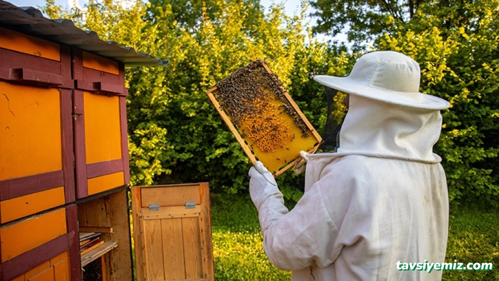 Seben Halk Eğitimi Merkezi