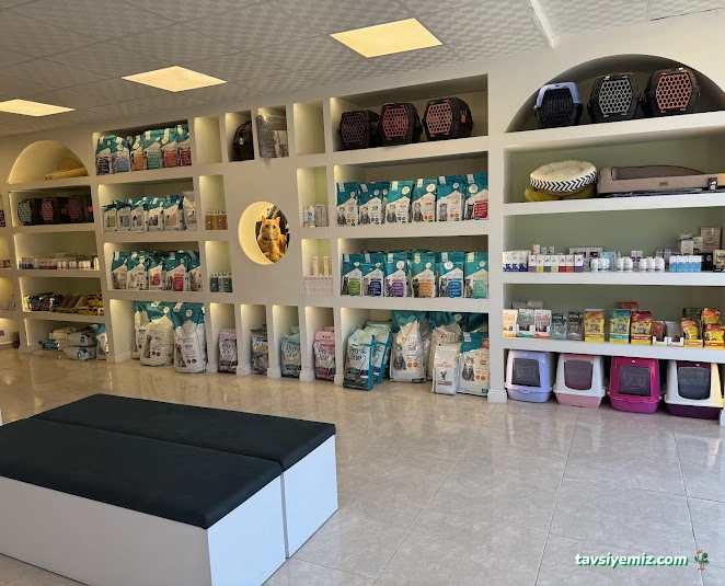 Sefa Veteriner Kliniği Veteriner Hekim Sefa Kaya