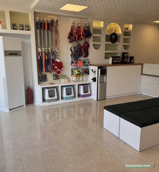 Sefa Veteriner Kliniği Veteriner Hekim Sefa Kaya