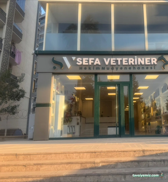 Sefa Veteriner Kliniği Veteriner Hekim Sefa Kaya