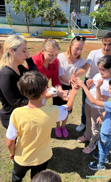 Şefkat Özel Eğitim Ve Rehabilitasyon Merkezi