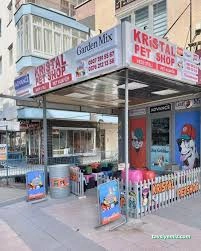 Şehir Petshop Akvaryum