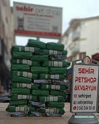 Şehir Petshop Akvaryum