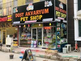 Şehir Petshop Akvaryum