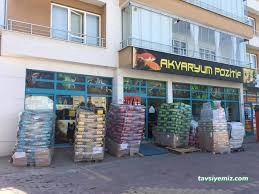 Şehir Petshop Akvaryum