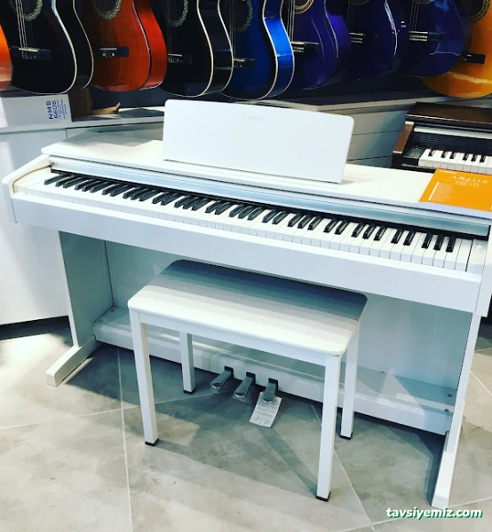 Selen Müzik Center (Bolu'da Müzik Aletleri Satışı,Prova Studio Ve Müzik Kursları)