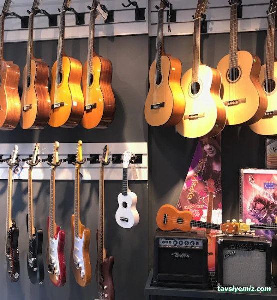 Selen Müzik Center (Bolu'da Müzik Aletleri Satışı,Prova Studio Ve Müzik Kursları)