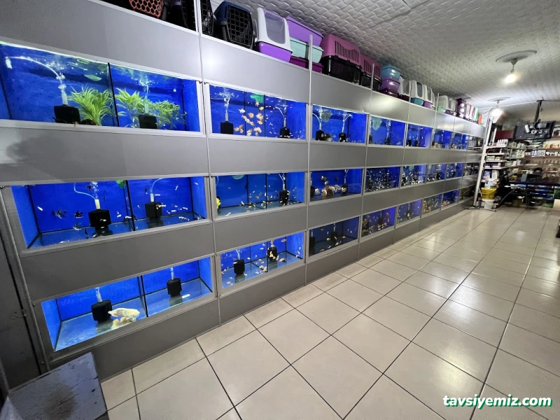 Şen Akvaryum& Av Bayii