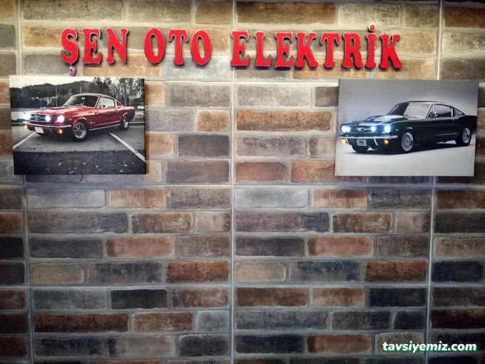 Şen Oto Elektrik