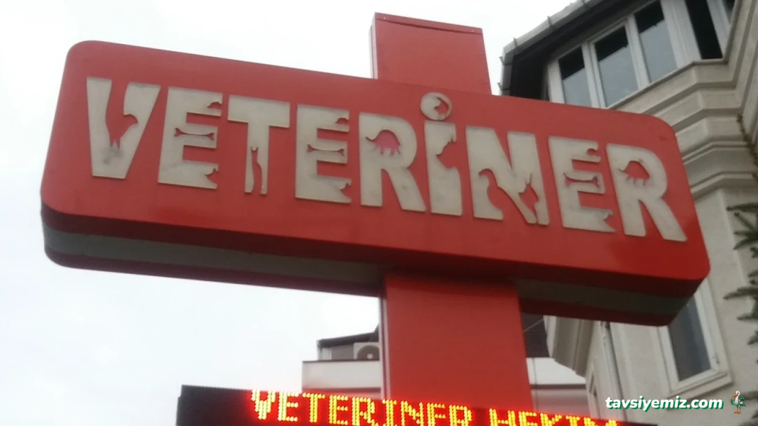 Şenlikköy Veteriner Kliniği
