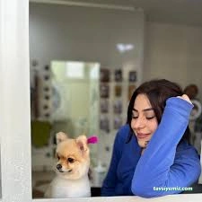 Senna Pet Kuaför&Petshop