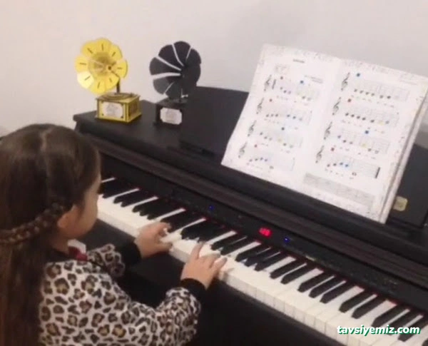 Şenses Müzik Market