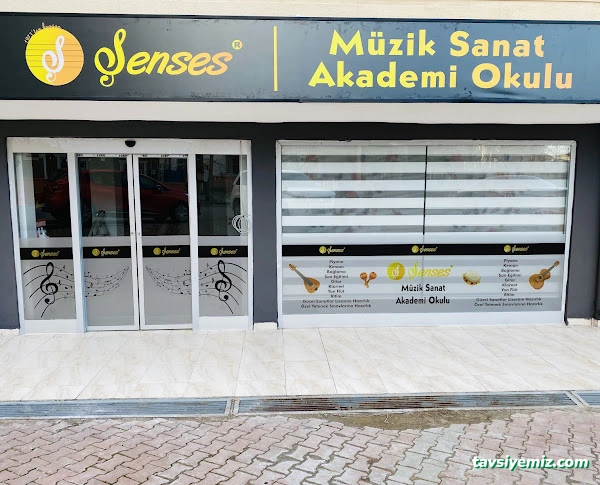 Şenses Müzik Market