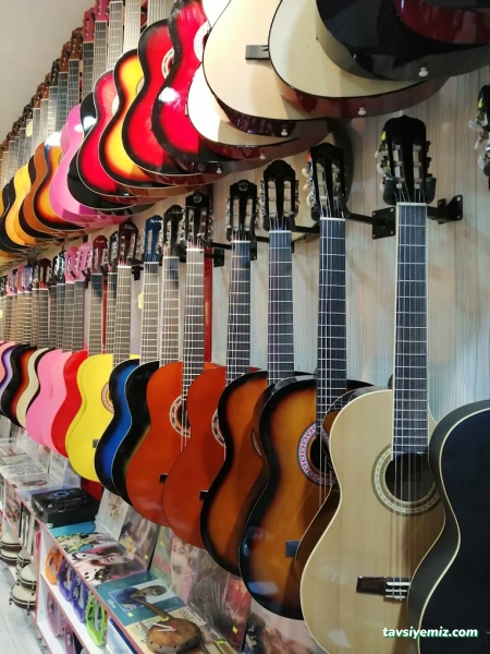 Şenses Müzik Market Kırşehir