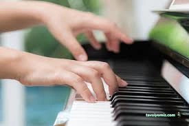 Şenses Müzik Sanat Akademi Okulu