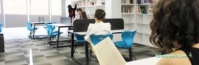 Şenses Müzik Sanat Akademi Okulu