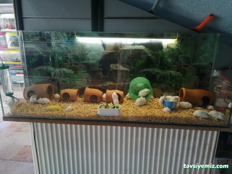 Sera Aquarium Pet Market & Pet Center & Pet Shop