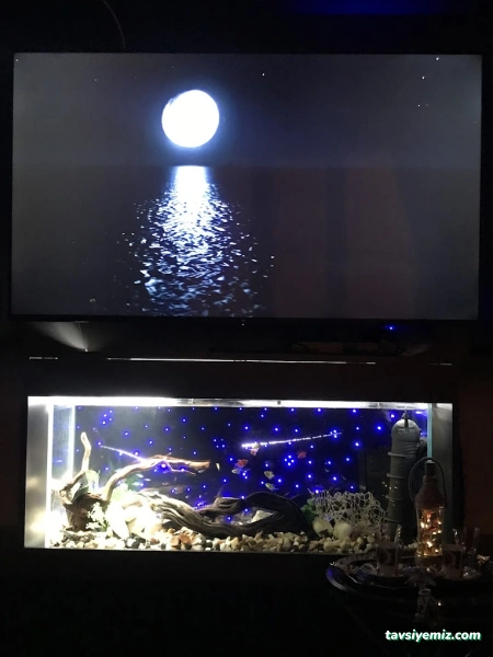 Sera Aquarium Pet Market & Pet Center & Pet Shop