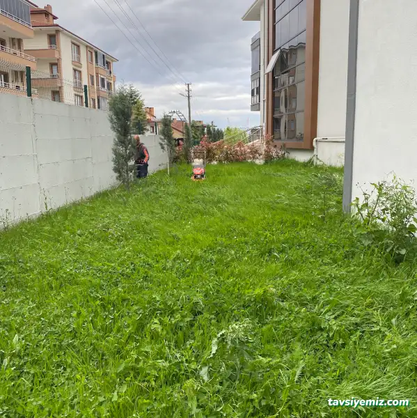 Serdivan Peyzaj & Çim & Bahçe