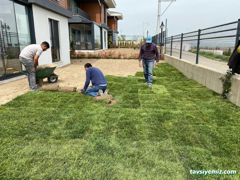 Serdivan Peyzaj & Çim & Bahçe