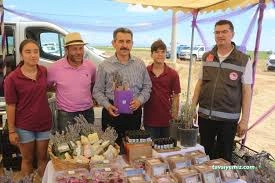 Serence Lavanta Festival Alanı