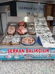 Serkan Balikcilik