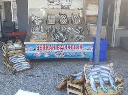 Serkan Balikcilik