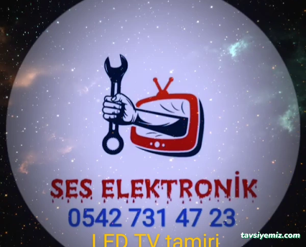 Ses Elektronik