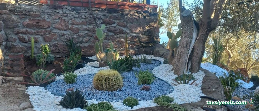 Şevval Peyzaj Mimarlık