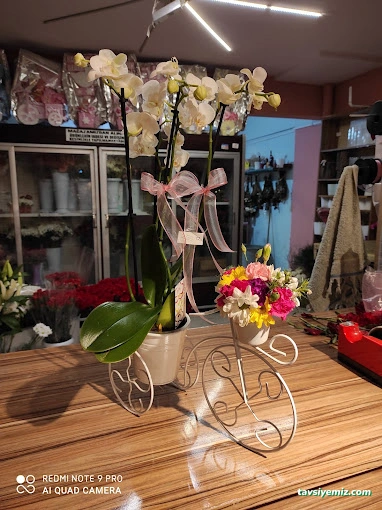 Sibelisa Uluslararası Çiçekçilik