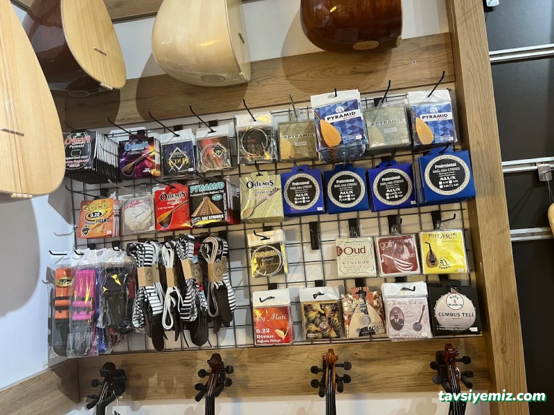 Sihirli Lamba Müzik Market