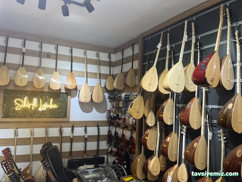 Sihirli Lamba Müzik Market