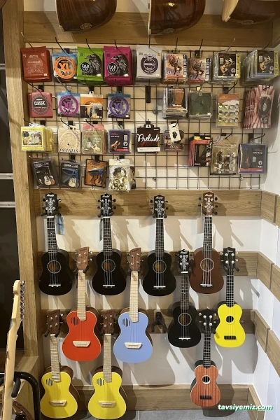 Sihirli Lamba Müzik Market