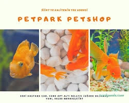 Siirt Petpark Petshop Akvaryum
