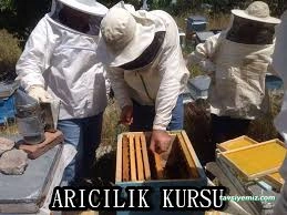 Sincan Halk Eğitimi Merkezi Ve Aso