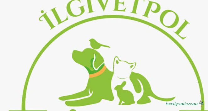 Sincan İlgivetpol Veteriner Polikliniği / Sincan Veteriner Kliniği