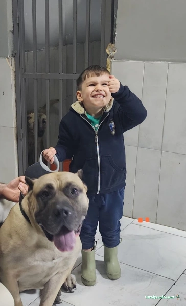 Sincan İlgivetpol Veteriner Polikliniği / Sincan Veteriner Kliniği