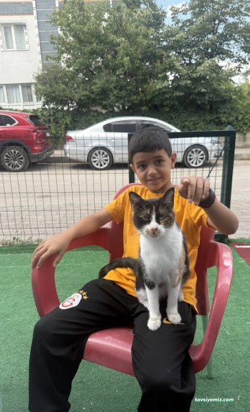 Sincan Pet Veteriner Kliniği