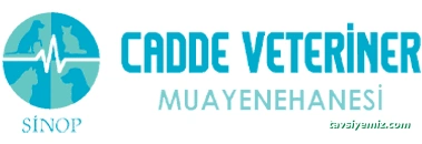 Sinop Cadde Veteriner Kliniği