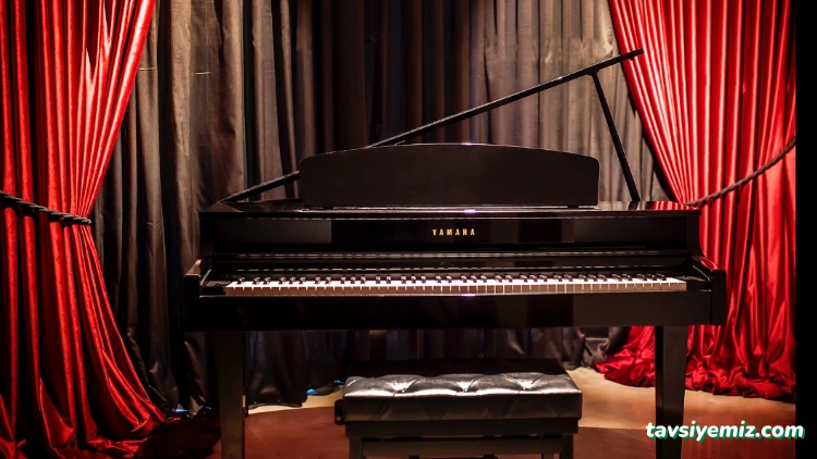 Sinop Ritim Müzik Merkezi