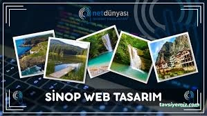 Sinop Web Tasarım