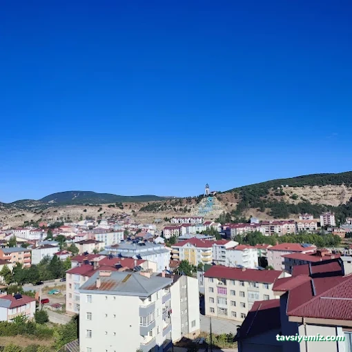 Şiran Otel Özel Apart