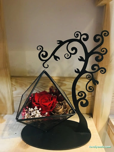 Şırnak Çiçekçilik Manolya