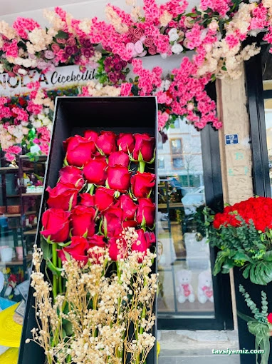 Şırnak Çiçekçilik Manolya