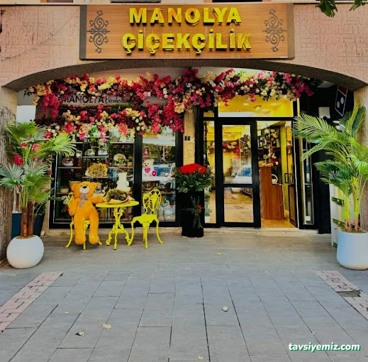 Şırnak Çiçekçilik Manolya