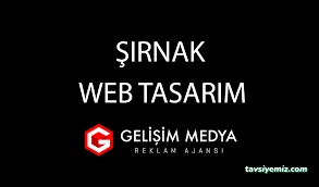Şırnak Web Tasarım