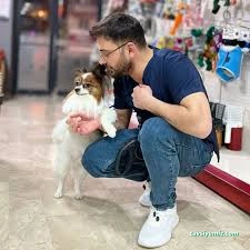 Sivas Bölge Pet Kuaför Kedi&Kopek Kuaförü