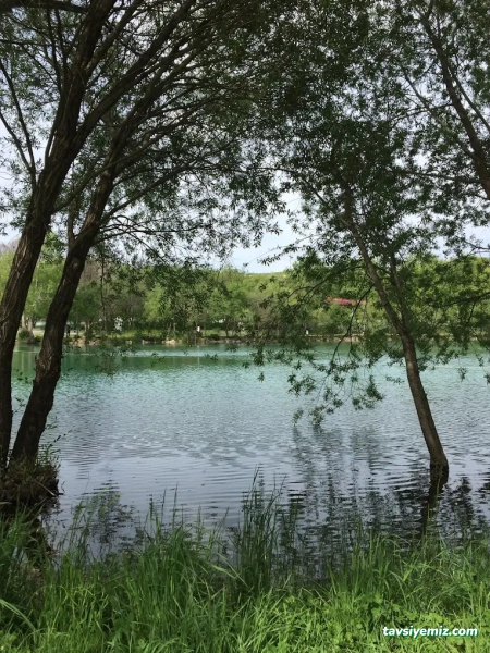 Sivas İz Peyzaj Tasarım Uygulama