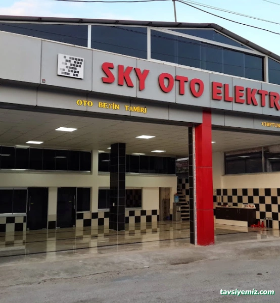 Sky Oto Elektronık & Chıptunıng