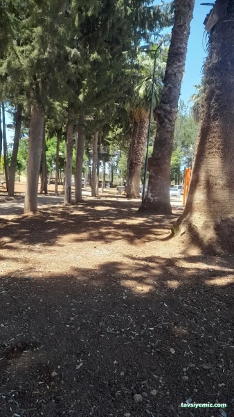 Söğütlüdere Dinlenme Tesisleri